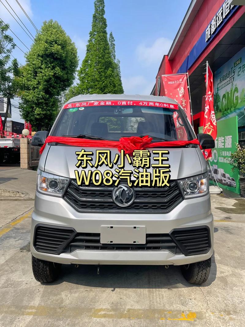 东风小霸王w08油耗_东风小霸王1.8汽油多少钱_东风小霸王汽油版油耗