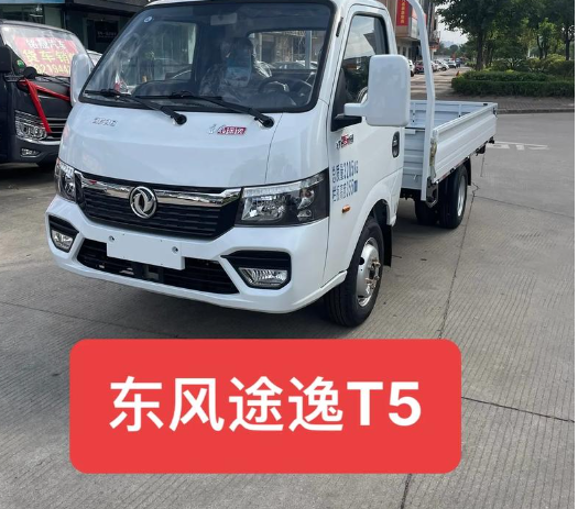 东风T5CNG省钱好帮手 - 成都远恒为您解析经济高效运输方案(图1) image.png